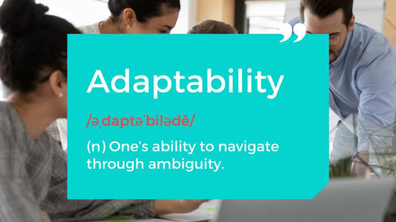 What Does it Mean to be Adaptable?