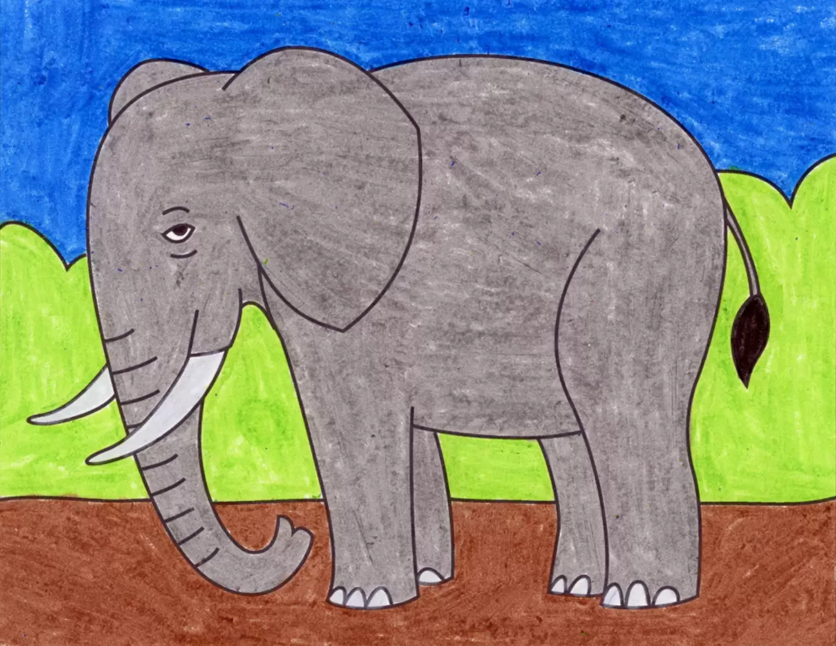 Exploring the Picture of an Elephant