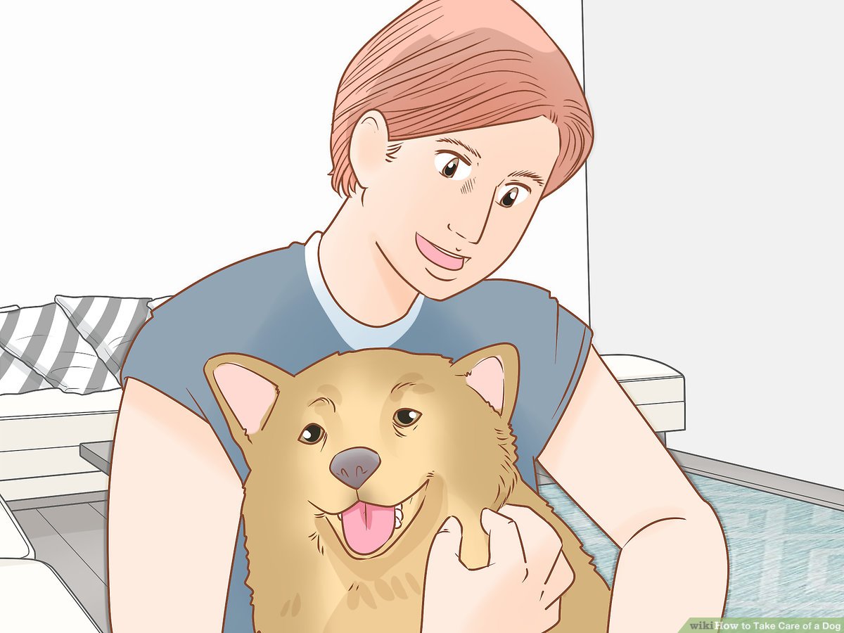 Overview of WikiHow Pet Care