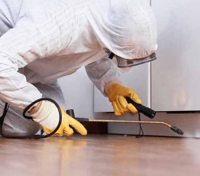 All About Residential Pest Control Services