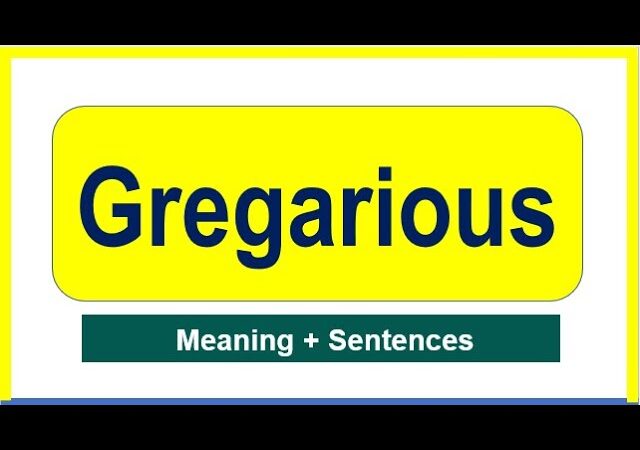 Gregarious Synonym